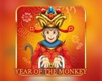 Year Of The Monkey H5
